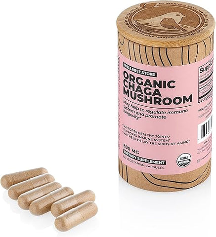Wellnest.Store - Chaga Mushroom Organic Supplement (Extrato de Inonotus) 60 Cápsulas Vegetais – Combate Inflamação e Apoia a Saúde das Articulações. Suporte Imunológico; Melhora a Função Cognitiva