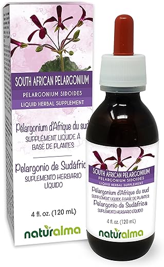 Tintura sem álcool de raiz de Pelargonium sidoides da Naturalma da África do Sul – 118 ml Extrato líquido em gotas – Vegano