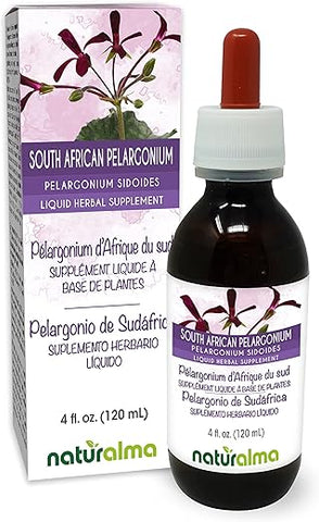 Tintura sem álcool de raiz de Pelargonium sidoides da Naturalma da África do Sul – 118 ml Extrato líquido em gotas – Vegano