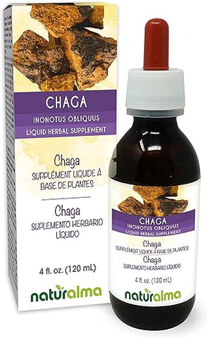 Chaga (Inonotus obliquus) – Tintura sem álcool de cogumelo – Extrato líquido em gotas de 118 ml – Suplemento herbal – Vegano - Naturalma