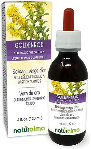 Goldenrod (Solidago virgaurea) – Tintura sem álcool de ervas com flores – 118 ml Extrato líquido em gotas – Vegano - Naturalma
