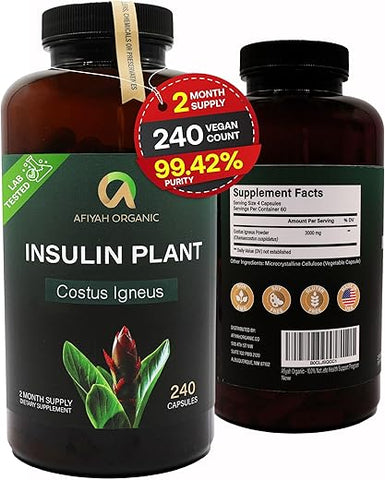 Afiyah Organic - Cápsulas de Costus Igneus (Planta da Insulina) de Qualidade Premium – Fácil de Engolir 240 Cápsulas Vegetais (2 Meses de Suprimento) – Fabricado nos EUA – Programa Completo de Suporte à Saúde
