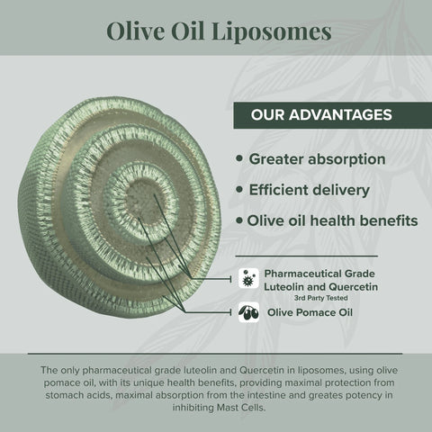 Algonot - NeuroProtek® 2 pack: Luteolina lipossomal com óleo de bagaço de oliva – Suplemento dietético oral único, patenteado e natural em cápsulas gelatinosas que pode promover harmonia